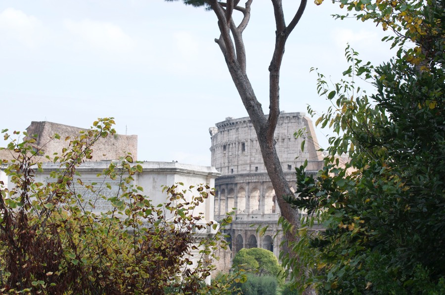 Kolosseum,
Rom 11-11