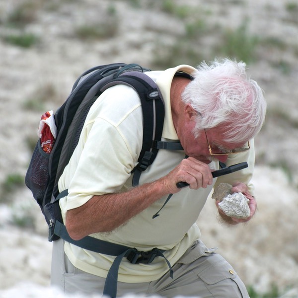 Fossiliensuche,
Burgenland 04-13