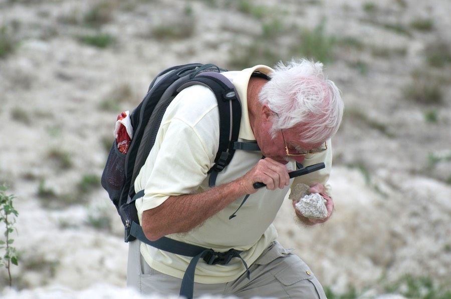 Fossiliensuche,
Burgenland 04-13