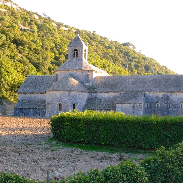 Abbaye Senanque,
Provence 10-09