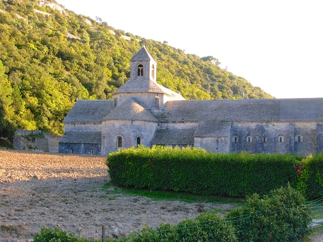 Abbaye Senanque,
Provence 10-09