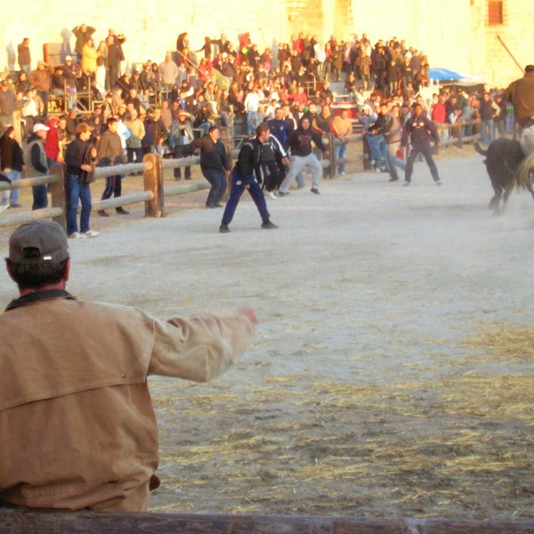 Aigues Mortes,
Provence 10-09