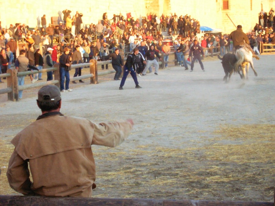 Aigues Mortes,
Provence 10-09