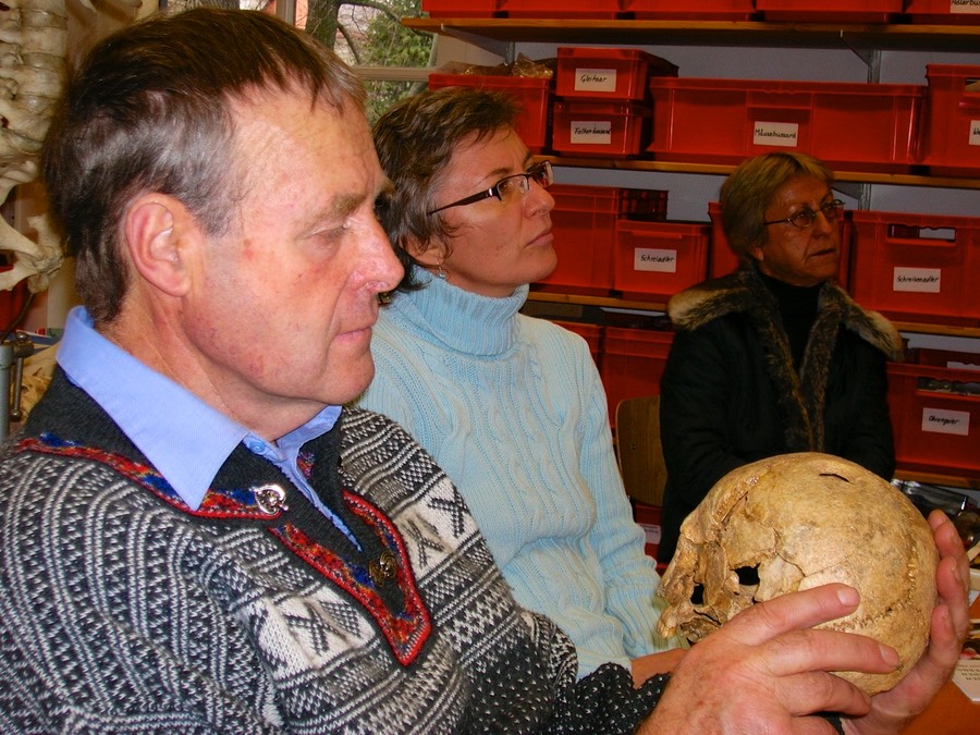 Bahr. Staats. für Anthropologie, Mensch