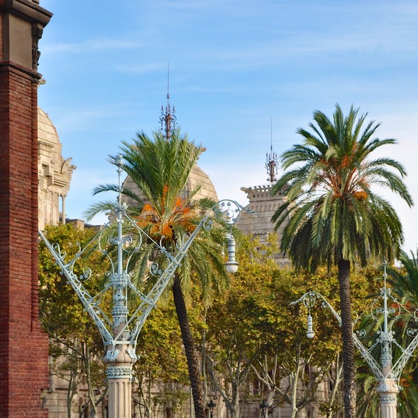 Barcelona_2015 5453