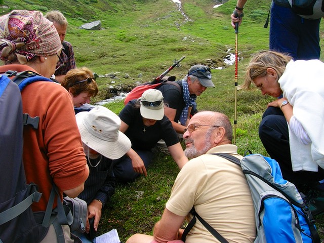 Biotop Kristallin,  Flora & Fauna