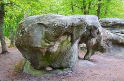 Foret de Fontainbleau,
Ile-de-France 05-13