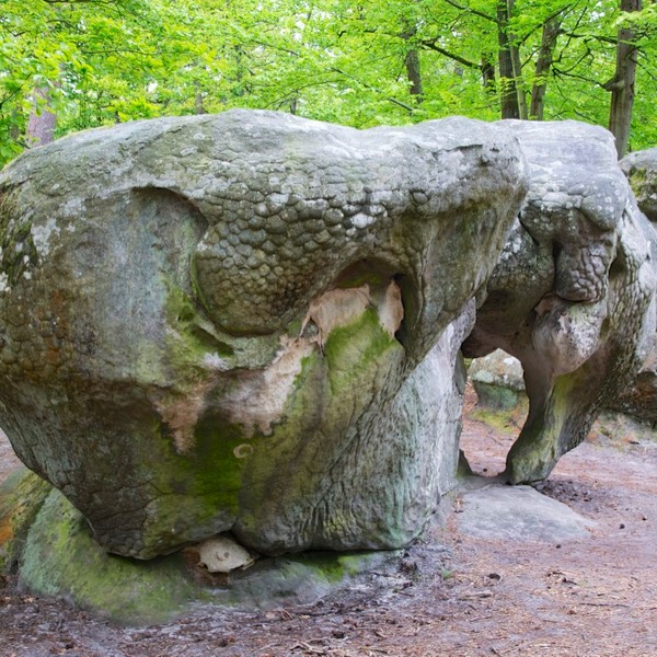 Foret de Fontainbleau,
Ile-de-France 05-13