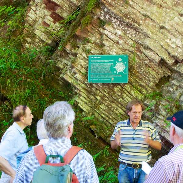 Glasenbachklamm, Erdgeschichte, 07-2015