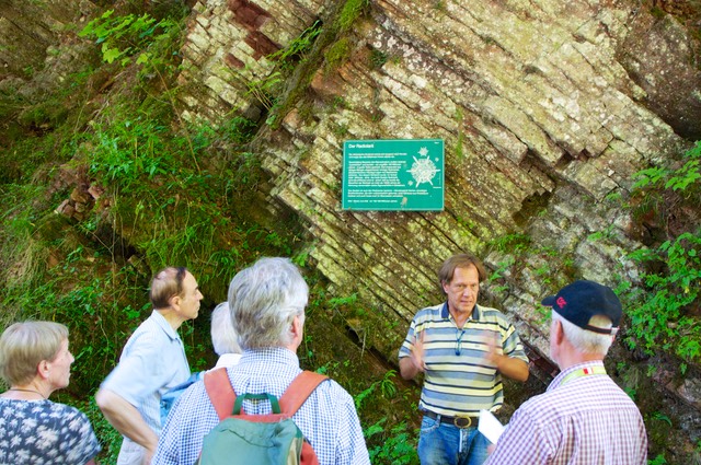 Glasenbachklamm, Erdgeschichte, 07-2015