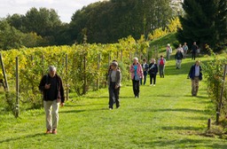 Kapfenstein,
Sdsteiermark 10-12