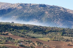 Malaga_Granada_Ronda_11_2017_ 488