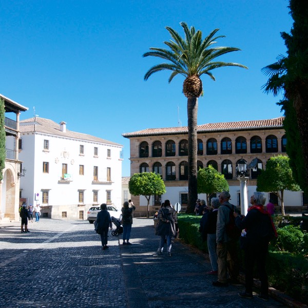 Malaga_Granada_Ronda_11_2017_ 525