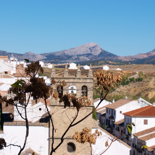 Malaga_Granada_Ronda_11_2017_ 544