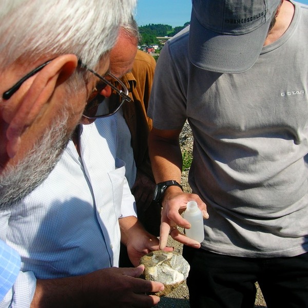 Schottergrube Thalgau,
Erdgeschichte