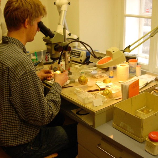 Werkstatt Keltenmuseum
Hallein, Archologie